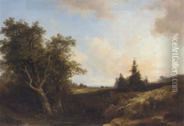 An Extensive Heathland Landscape Oil Painting - Johannes Warnardus Bilders