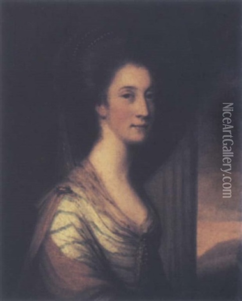 Portrait Of Miss Diana Stuart, Wife Of Sir William Milner, 3rd Baronet Oil Painting - Nathaniel Hone the Elder
