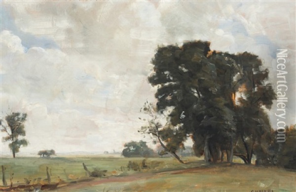 A Summer Landscape, Presumably From Tisvilde Oil Painting - Carl Vilhelm Holsoe
