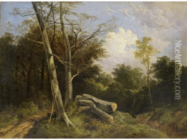 A Woodland Path Oil Painting - John Berney Ladbrooke