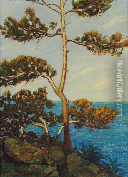 Alberi Sul Mare Oil Painting - Giovanni Battista Bosio