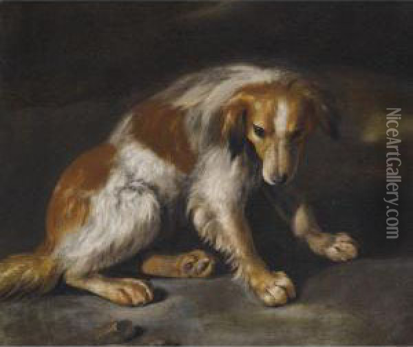 A Spaniel Seated In A Landscape Oil Painting - Arcangelo Resani