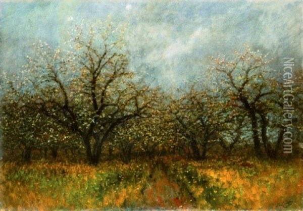 Viragzo Fak (blooming Trees) Oil Painting - Laszlo Mednyanszky