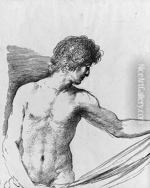 A draped Youth holding some Drapery, half-length Oil Painting - Giovanni Francesco Barbieri