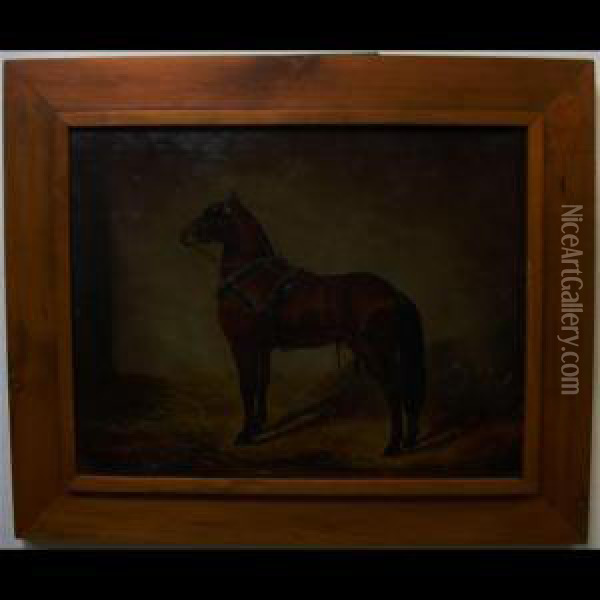 Chestnut Horse In Stall Oil Painting - James Lynwood Palmer