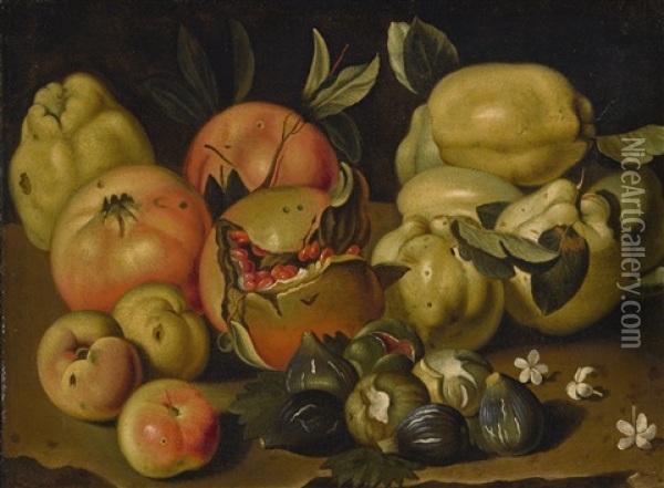 Still Life With Apples, Pomegranates, Quinces. Figs And Jasmine Oil Painting - Pietro Paolo Bonzi