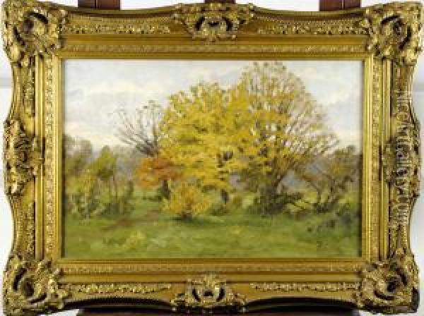 Sous-bois Oil Painting - Theodore Baron