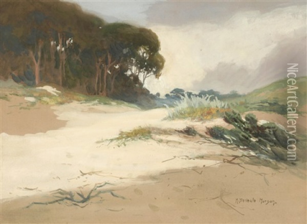 Carmel Dunes And Coastal Trees Oil Painting - Mary Deneale Morgan