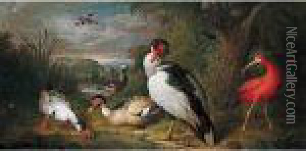 A Muscovy Duck, A Red Ibis And Other Fowl In A Landscape Oil Painting - Tobias Stranover