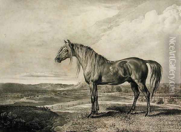 Copenhagen, from Celebrated Horses, a set of fourteen racing prints published by the artist, 1823-24 Oil Painting - James Ward