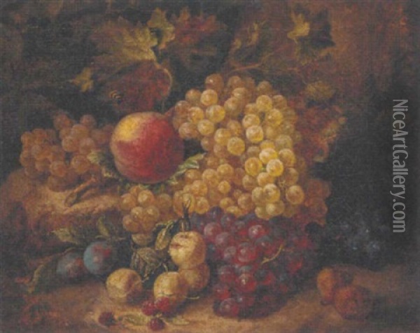 Grapes, A Peach, Green Gages, Medlars And A Bee On A Rockery Oil Painting - Andreas Lach