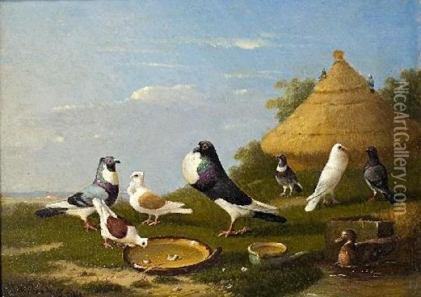 Tauben An Einem Teich Oil Painting - Franz van Severdonck