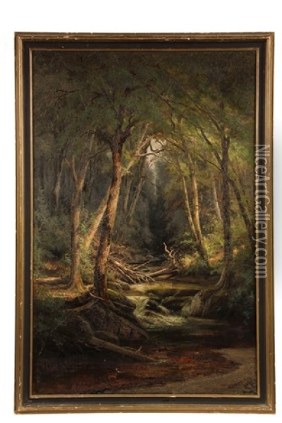 Ravine Brook, White Mountains Oil Painting - Edward Hill