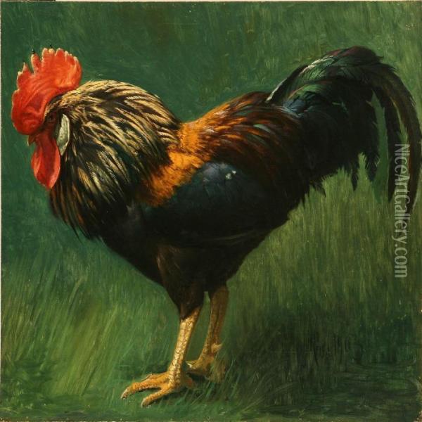A Cock In The Grass Oil Painting - Niels Peter Rasmussen