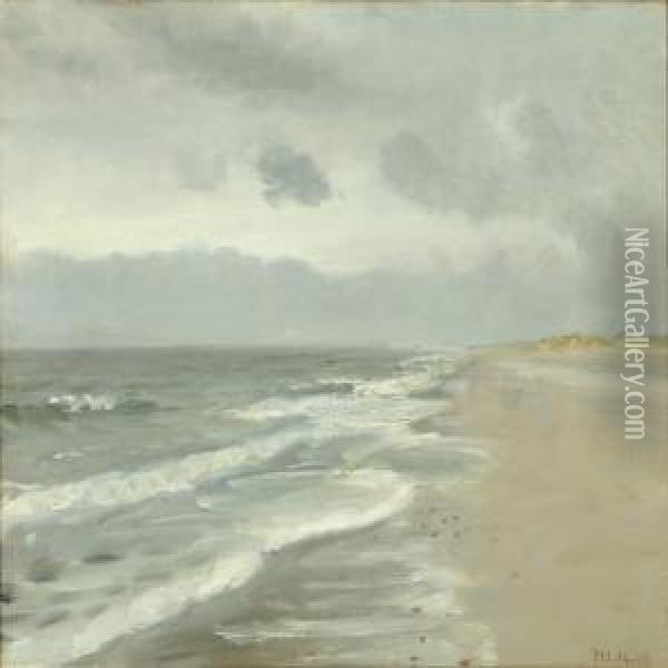 Coastel Scenery Fromskagen Oil Painting - Michael Ancher