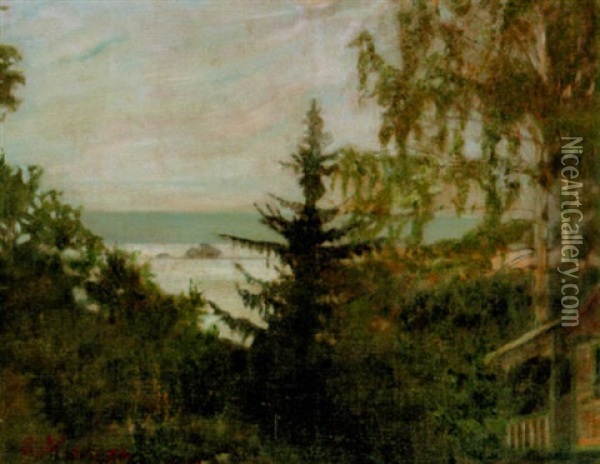 Lake Scene Oil Painting - Johan Severin Nilsson
