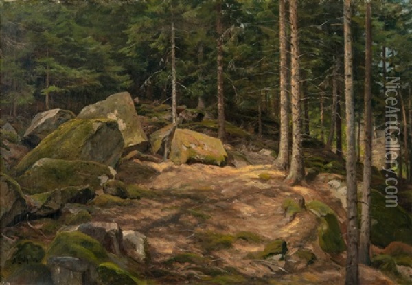 Forest View Oil Painting - Berndt Adolf Lindholm