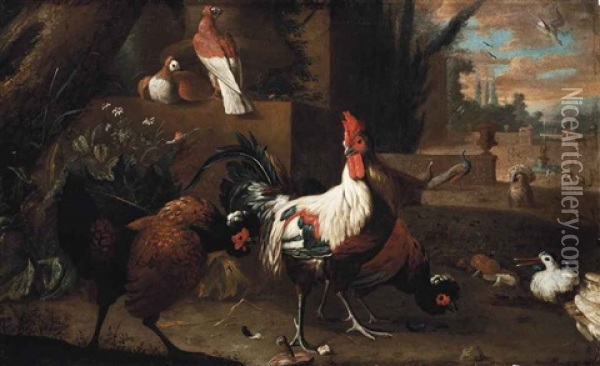 A Cockerel, Hens And Pigeons In A Landscape With Peacocks, A Turkey And Other Birds Before A Distant Fountain Oil Painting - Melchior de Hondecoeter