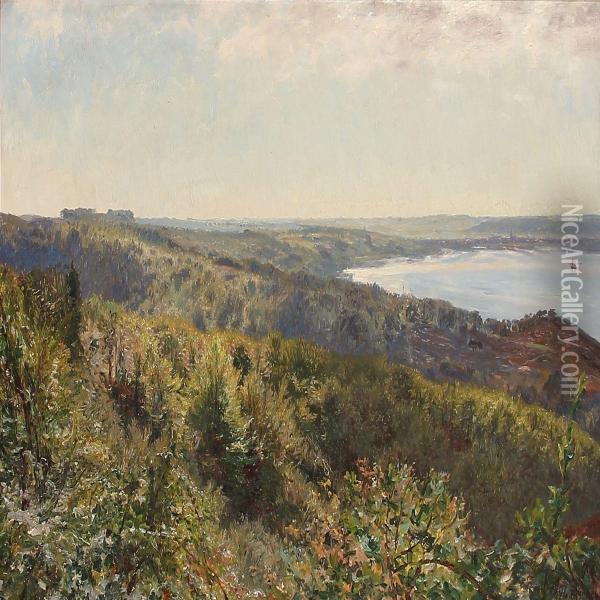 Landscape From Munkebjerg, Denmark Oil Painting - Godfred B.W. Christensen