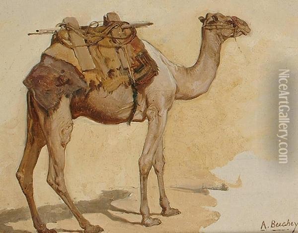 Study Of A Camel Oil Painting - Anne Phyllis Beechey