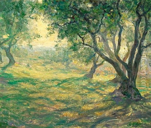 In The Olive Orchard - Provencal Olive Orchard Oil Painting - Guy Rose