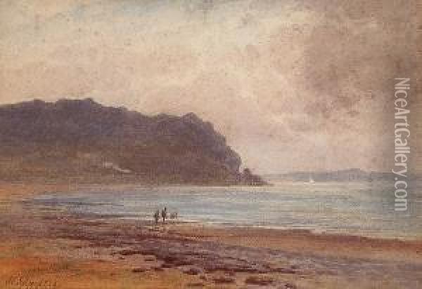 Wandering Along The Beach; Marshland Oil Painting - John Cuthbert Salmon