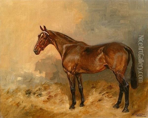 Portrait Of A Bay Horse In A Stable Interior, Signed Oil On Canvas Oil Painting - Thomas Ivester Lloyd