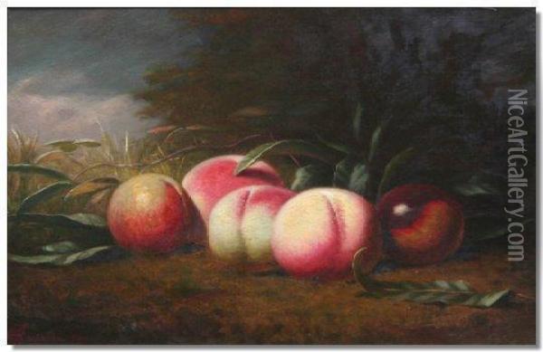Still Life Of Fruit Oil Painting - Hugh Ford Crighton