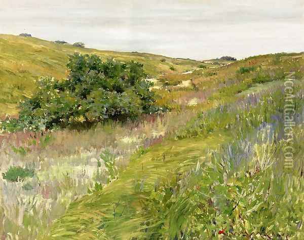 Landscape Shinnecock Hills Oil Painting - William Merritt Chase