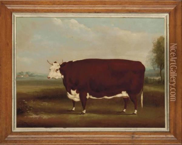 A Hereford Cow In A Landscape Oil Painting - William Henry Davis