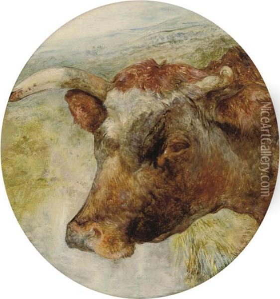 Head Study Of A Longhorn Cow Oil Painting - William Huggins