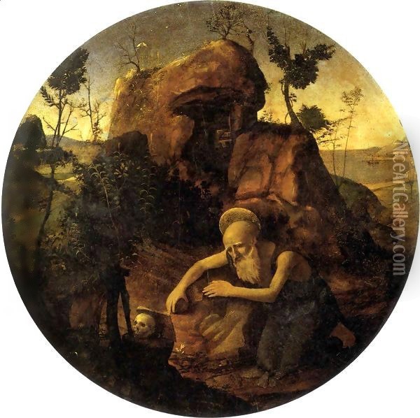 Penitent Saint Jerome Oil Painting - Piero Di Cosimo