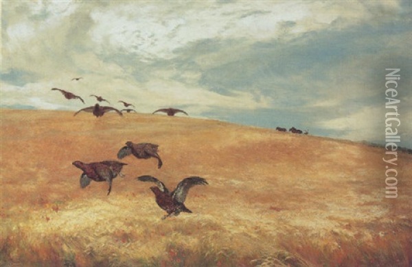 Grouse In Flight Oil Painting - David Farquharson