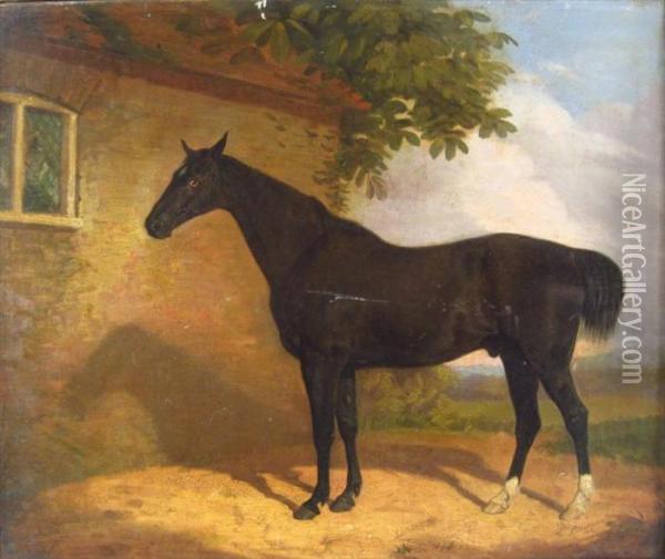 Portrait Of A Black Horse Oil Painting - George Stubbs