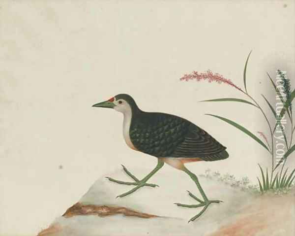 An exotic bird perched on a stump Oil Painting - Anglo-Chinese School