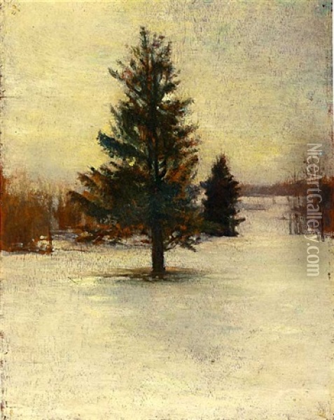 Snow. Sketch: Hillside With Cedars. Evening. Oil Painting - John La Farge