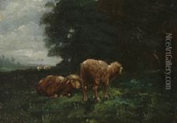 Grazing Sheep Oil Painting - Charles Emile Jacque