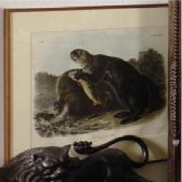 Sea Otter Oil Painting - John James Audubon