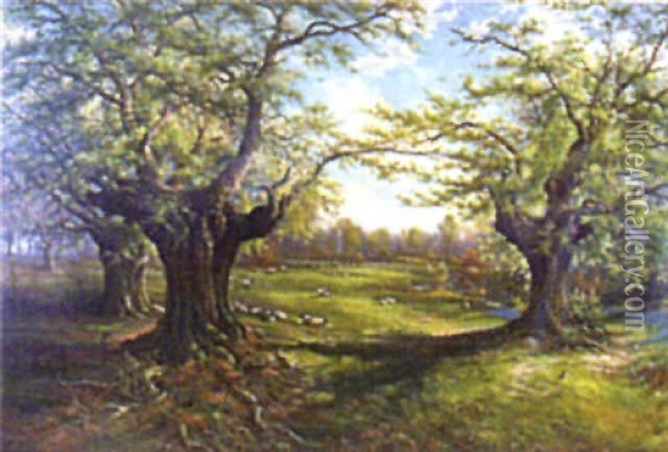 Woodland (boscombe Oak?) Oil Painting - George Richard Wheater