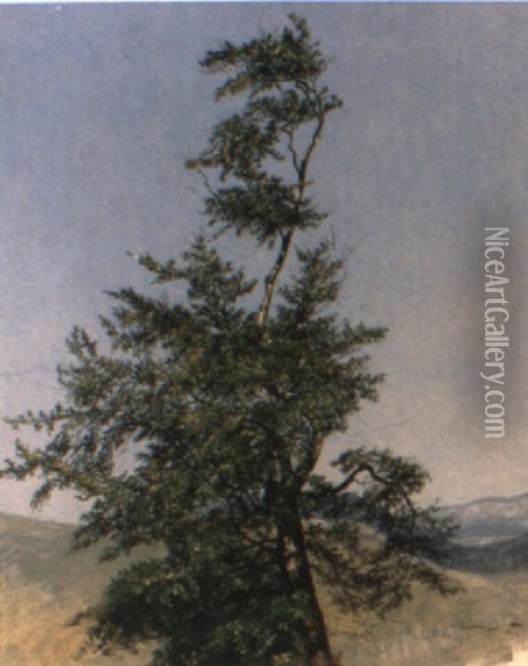 Baumkrone Vor Weiter Landschaft Oil Painting - Josef Holzer