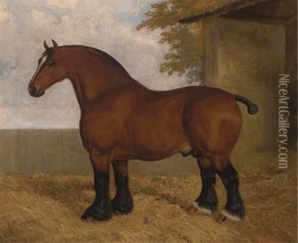 The Shire Stallion Oil Painting - Albert Clark