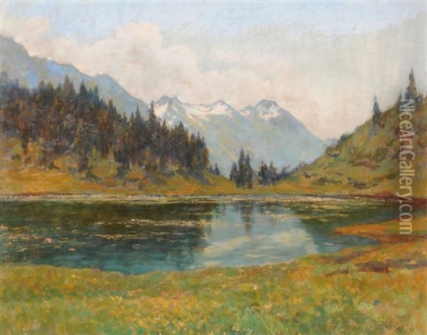 Bergsee Im Sommer Oil Painting - Gioacchino Galbusera