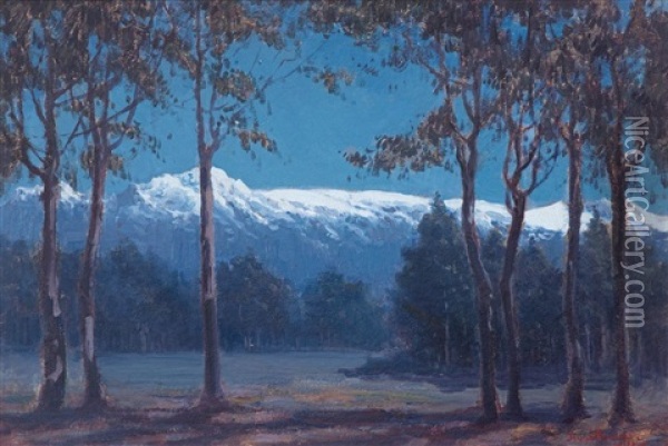Snow-capped Mountains Oil Painting - Pieter Hugo Naude