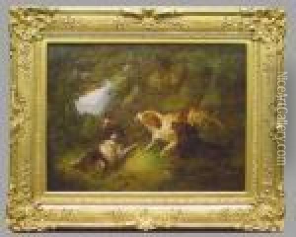 Spaniels Flushing Pheasant Oil Painting - George Armfield