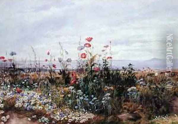 Wildflowers with a View of Dublin Dunleary Oil Painting - Andrew Nicholl