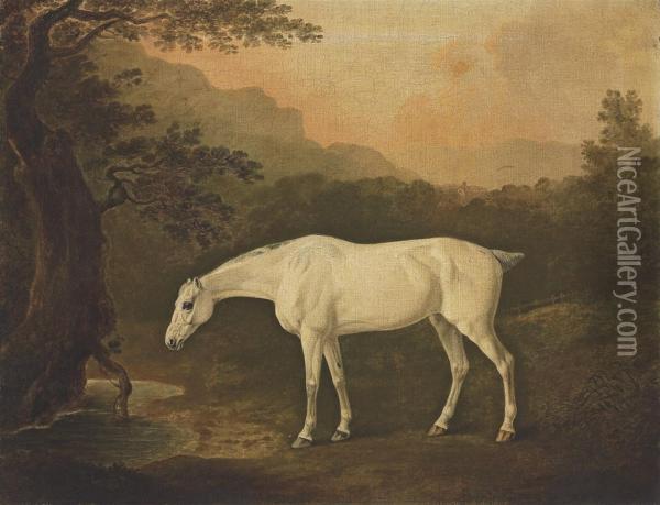 A Grey Hunter In A Wooded Landscape By A Stream Oil Painting - John Boultbee