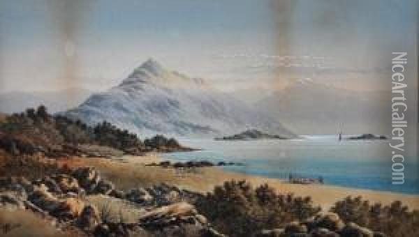 Lake Haweu-otugokew, N.z. Oil Painting - Tom Peerless