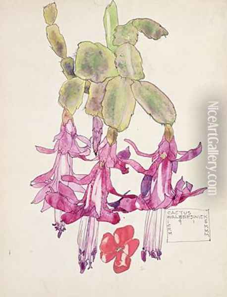 Cactus Flower Oil Painting - Charles Rennie Mackintosh