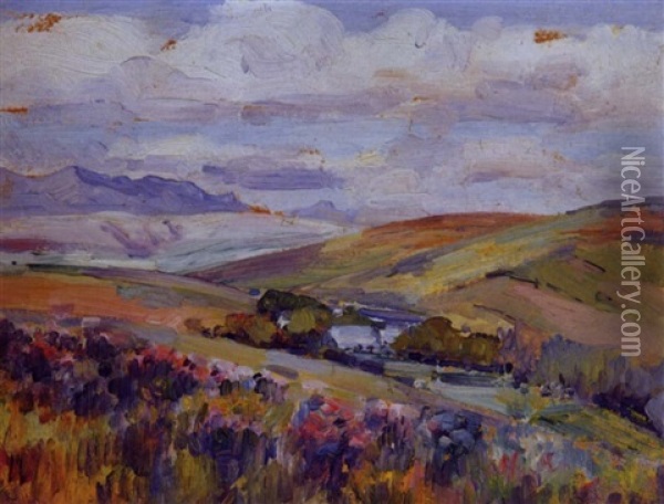 Near Caledon Oil Painting - Pieter Hugo Naude