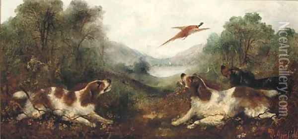 Spaniel putting a pheasant up Oil Painting - George Armfield